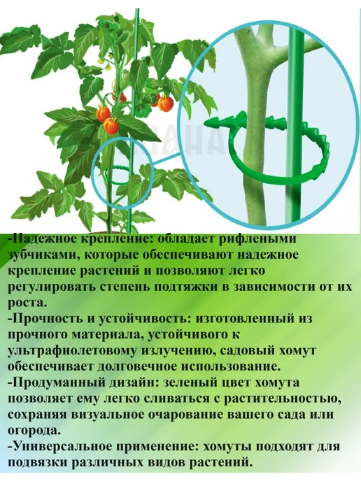 Хомут садовый многоразовый для подвязки растений 50 шт, 100 шт, фото 2