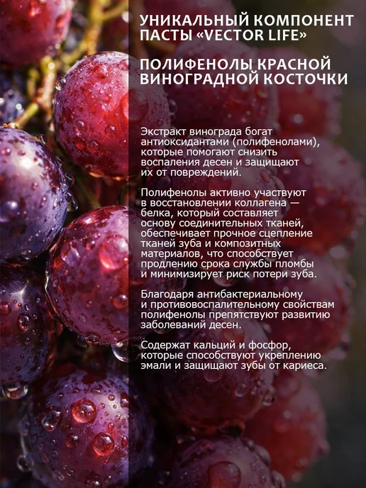 крымский травник Зубная паста здоровье десен 100 г, 100 г, фото 5