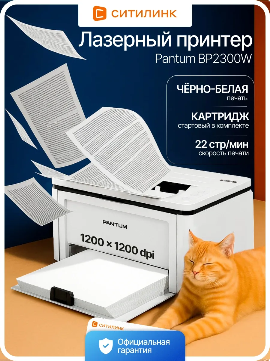 Принтер лазерный BP2300W (BP2300W) A4 WiFi белый