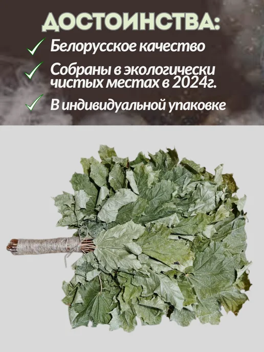 Лесавiчок Веник для бани и сауны из клена, вариант, фото 2