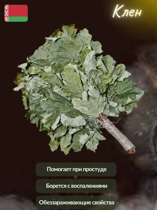 Лесавiчок Веник для бани и сауны из клена, вариант, фото 4