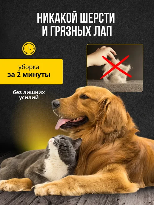 Инвент Пароочиститель для уборки, черный, фото 8