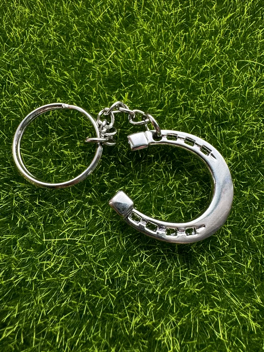 Keyring Брелок Подкова, серый, фото 5