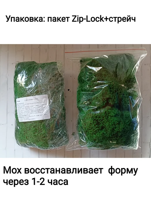 VPrirode Мох стабилизированный Стандарт Ярко-зелёный 100 г, 100 г, фото 4