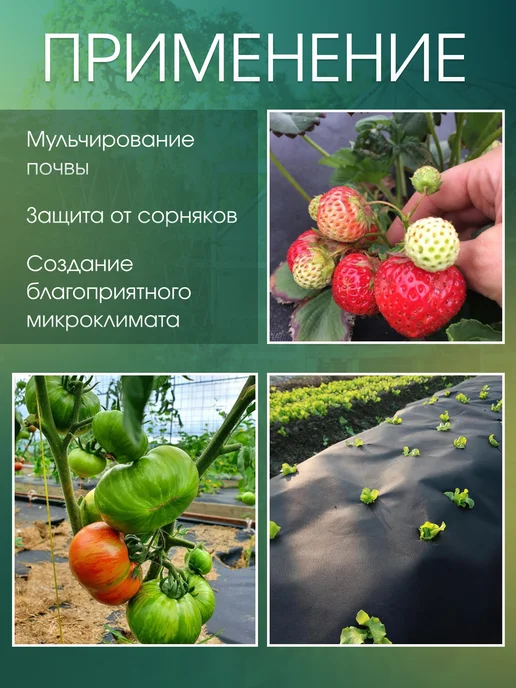 SPETS.POLIMER Спанбонд коричневый для клубники парника теплицы растений 80, фиолетовый, фото 3