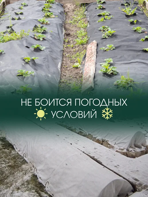 SPETS.POLIMER Спанбонд коричневый для клубники парника теплицы растений 80, фиолетовый, фото 5