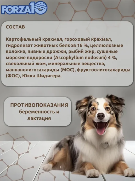 Сухой корм Forza 10 При Заболевание для собак, 10 кг, фото 3
