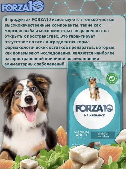 Сухой корм Forza 10 для собак, взрослые, лосось, треска, тунец, 2 кг, фото 2