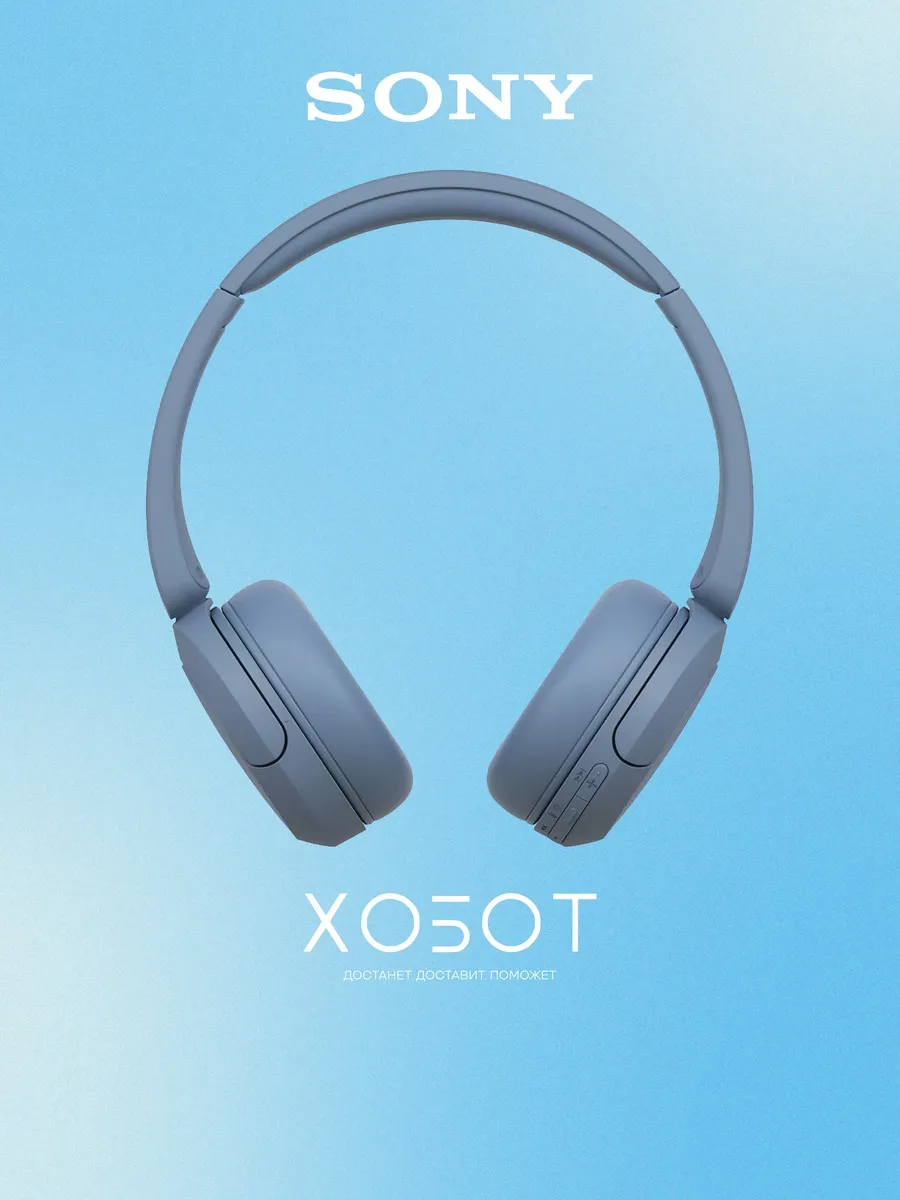 SONY Беспроводные наушники WH-CH520, синий