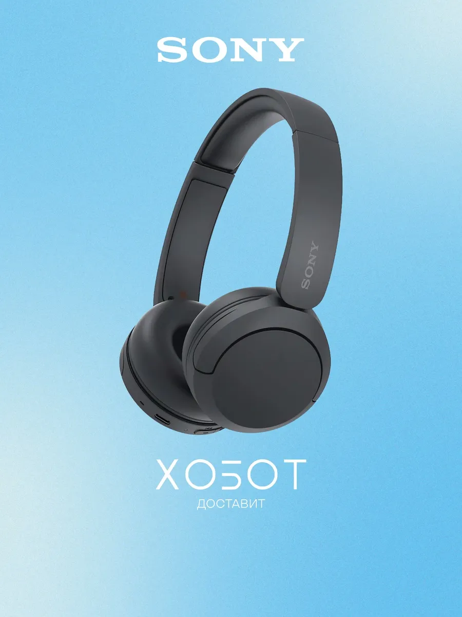 SONY Беспроводные наушники WH-CH520, чёрный