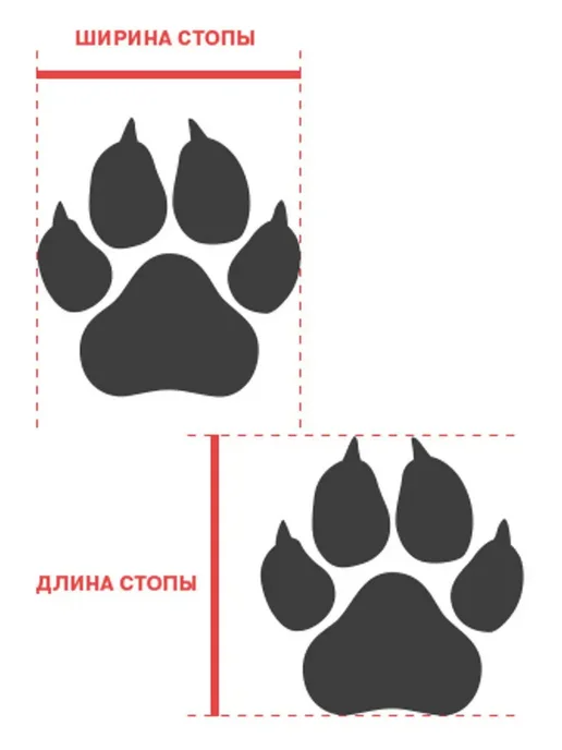 ForMyDogs Сапоги с высоким чулком для собак с усиленным носком, синий, фото 3