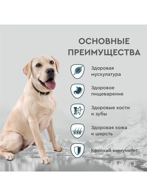 Сухой корм Secret for Pets Секрет для собак, ягненок, 2 кг, фото 3