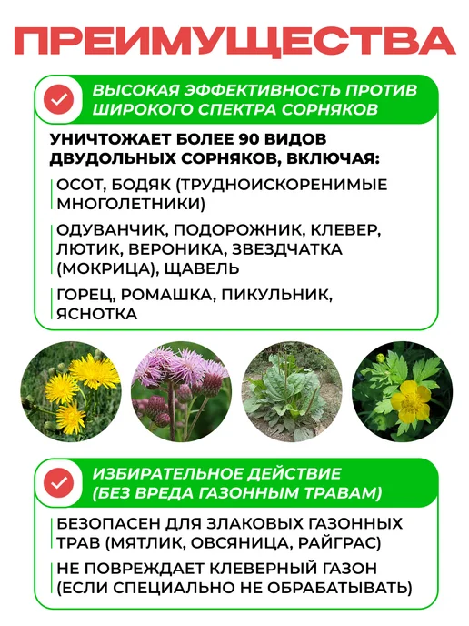 Avgust Деймос от сорняков, от одуванчиков на газоне 40 мл, 40 мл, фото 2