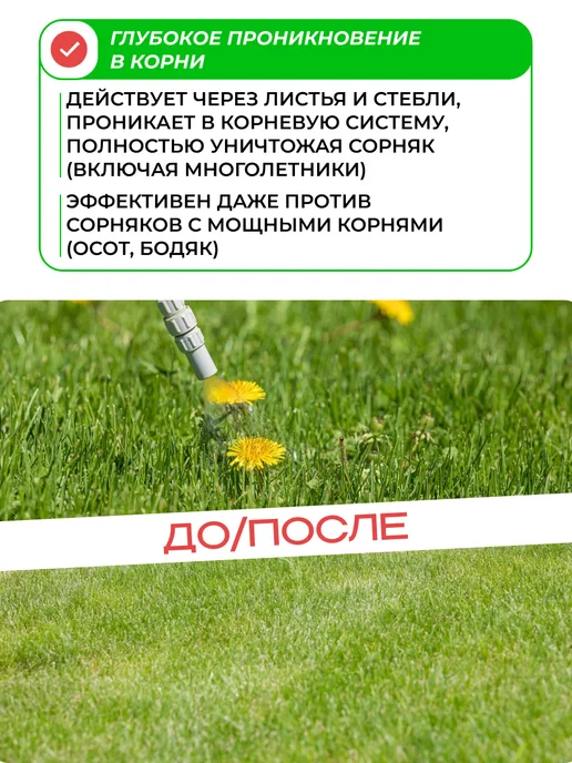 Avgust Деймос от сорняков, от одуванчиков на газоне 40 мл, 40 мл, фото 3