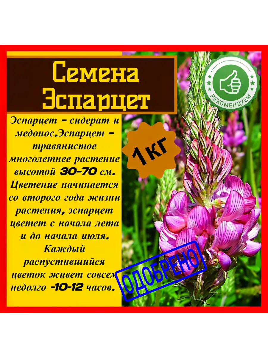 Семена Эспарцет