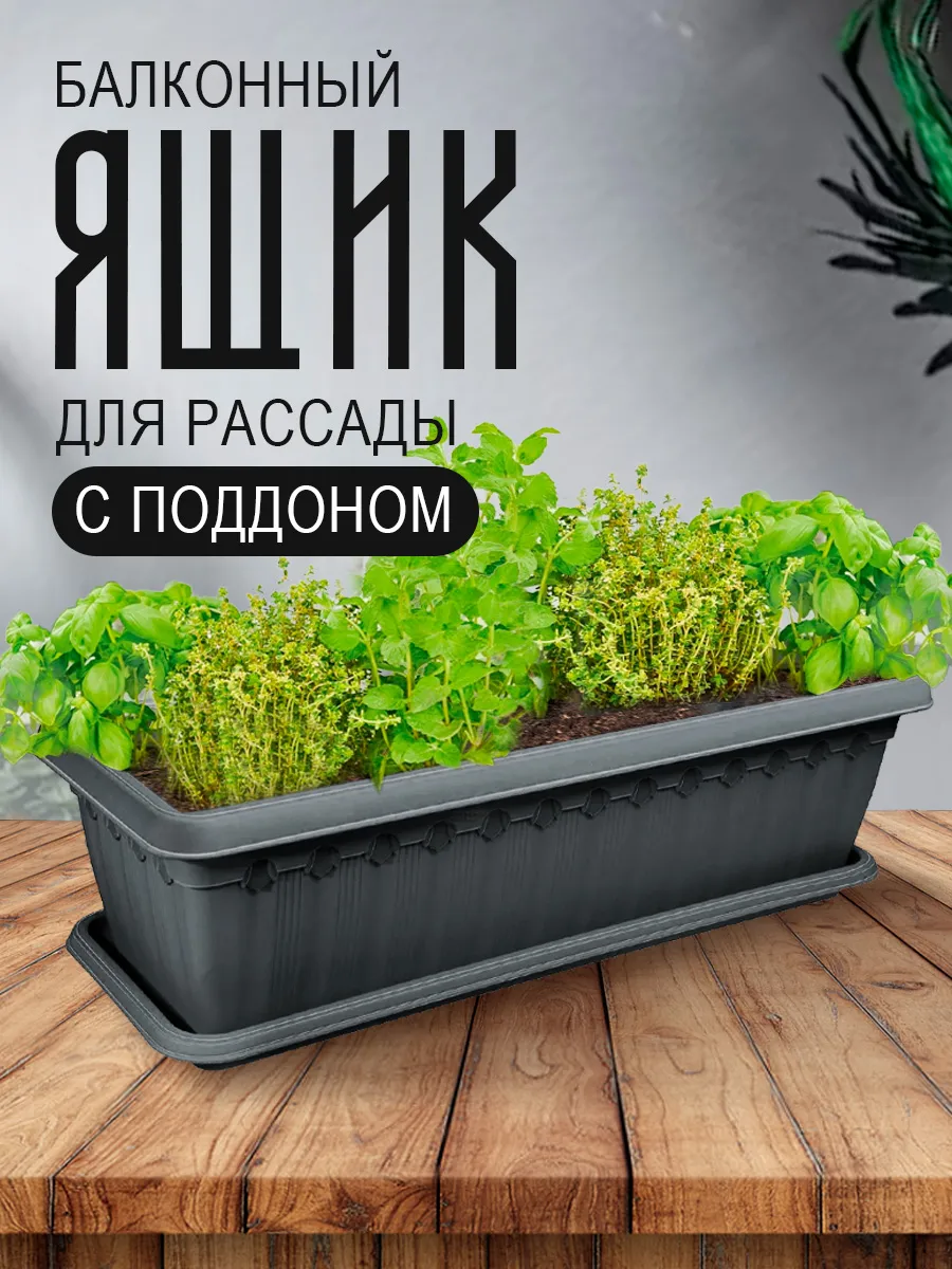 Балконный ящик для рассады и цветов с поддоном L 50 см