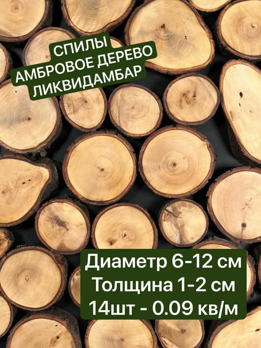 Спилы Амбрового дерева Ликвидамбар, диаметр 6-12 см, 14шт