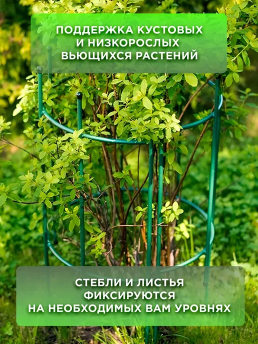 AKS Sale Опора для растений кустодержатель садовый металлический, зеленый, в упаковке 110 г, фото 2