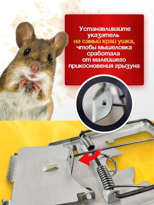 mousetrap Крысоловка капкан мышеловка 2 шт, вариант, фото 6
