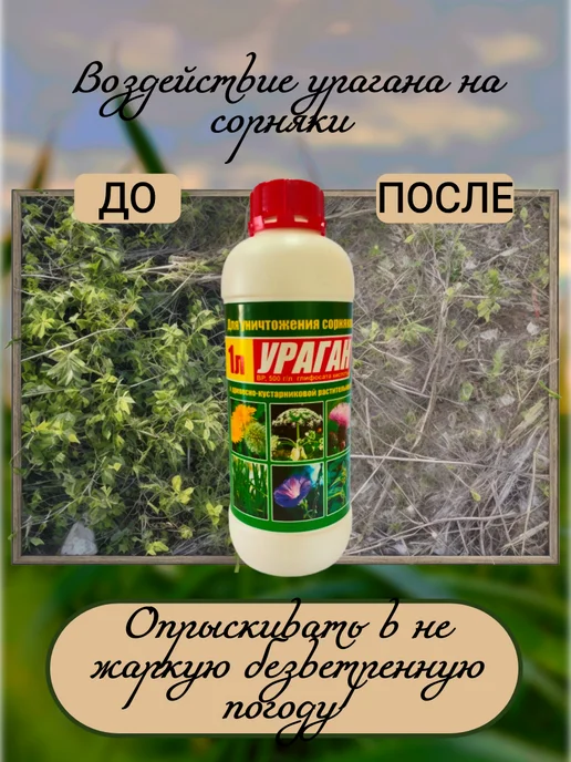 АзбукаСадовода Ураган средство от сорняков 500 мл, 500 мл, фото 4