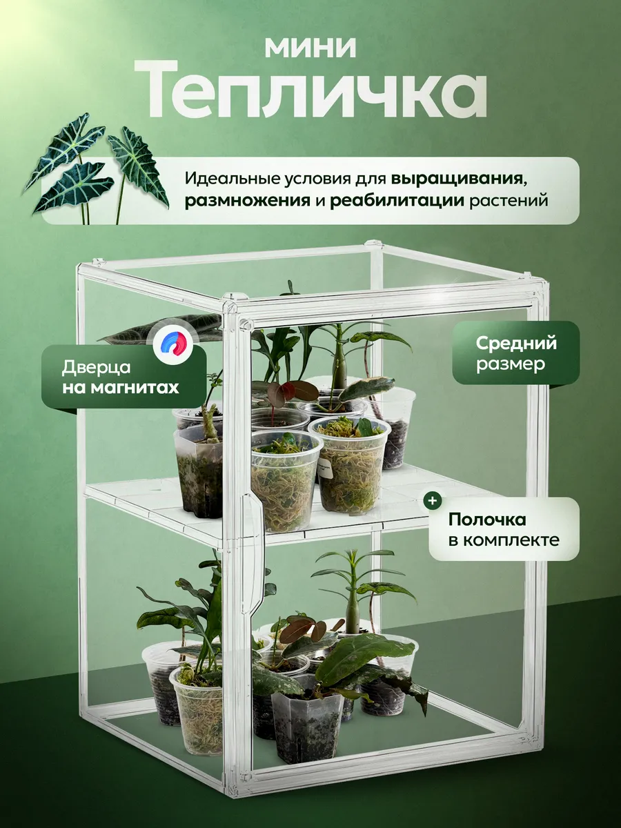 Мини теплица для комнатных растений