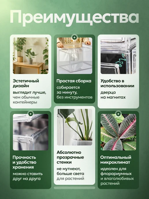Leafs In Home Мини теплица для комнатных растений, вариант, фото 4