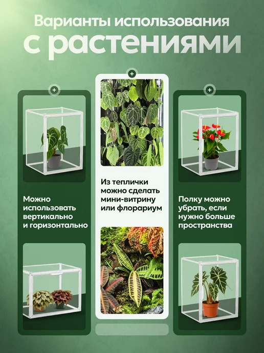 Leafs In Home Мини теплица для комнатных растений, вариант, фото 5