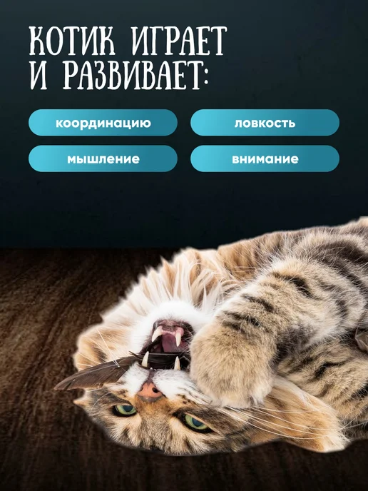 SSY Когтеточка для кошки лежанка напольная, джутовая кошек и котят, фото 7