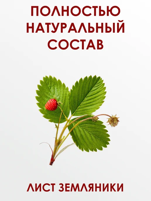 Мед и Конфитюр Земляники лист для укрепления иммунитета 100 гр, 100 г, фото 3