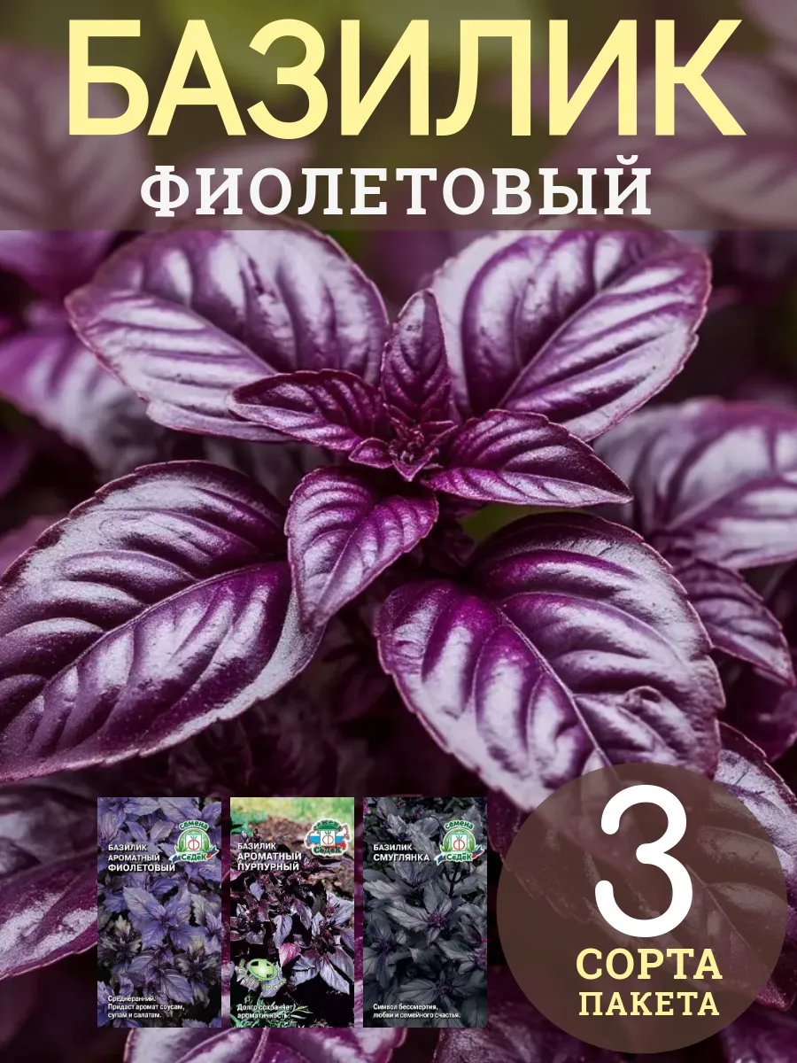 Базилик фиолетовый семена на зелень набор 3 сорта