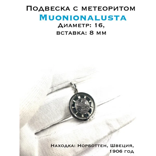Подвеска с метеоритом Muonionalusta