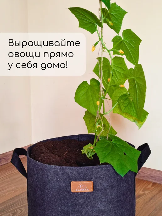 Данита garden Кашпо текстильное с ручками для здоровья растений 29 л, 29 л, фото 6