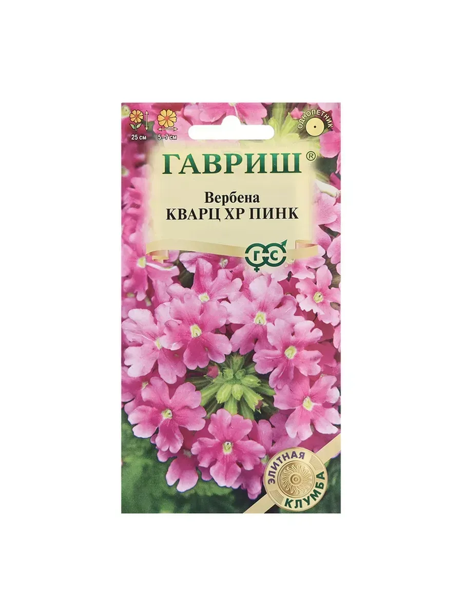 Купить Семена Вербены Бонарской В Интернет Магазине