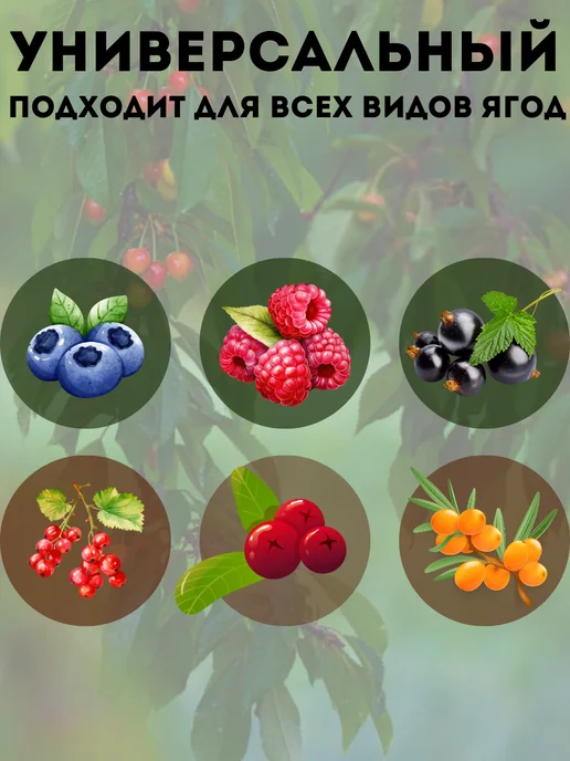 NRS Ягодосборник для ягод и сбора урожая, красный, фото 4