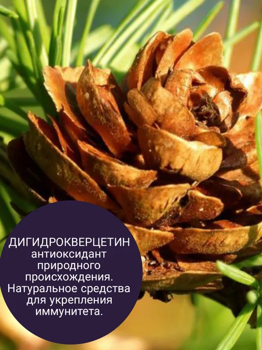 Родник Здоровья Каша быстрого приготовления для похудения гречневая, вариант, фото 4