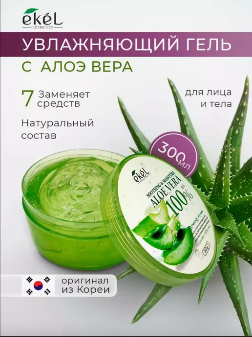 aloe vera pflanze kaufen in der nähe Aloe vera | Sukkulente main image 0