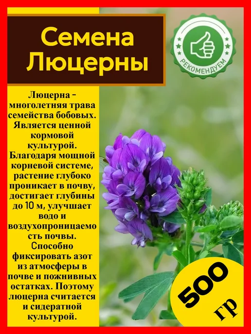 Семена Люцерна, вариант