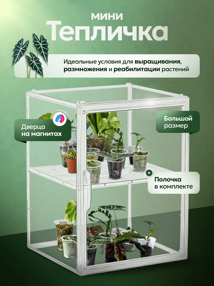 Мини тепличка для комнатных растений пластиковая