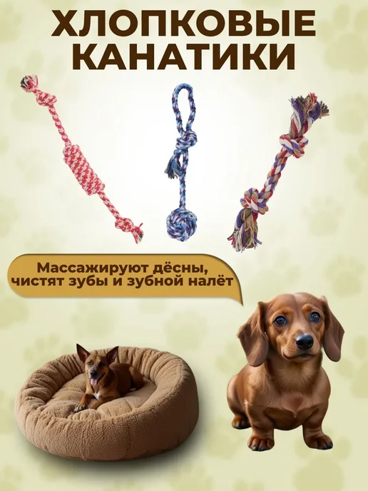 Дружба на четыре лапы Игрушки для собак и щенков набор 10 в 1, синий, фото 2