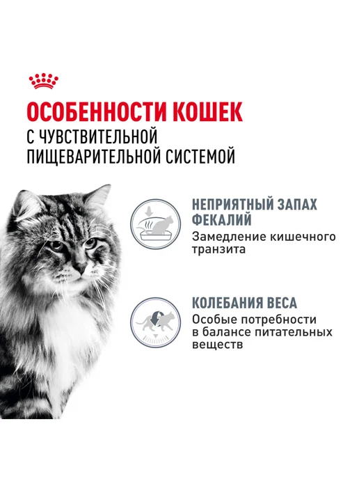 Royal canin Влажный корм Digestive Care для кошек и котов 85 г. х 28 шт, 85 г, 56 шт, фото 2