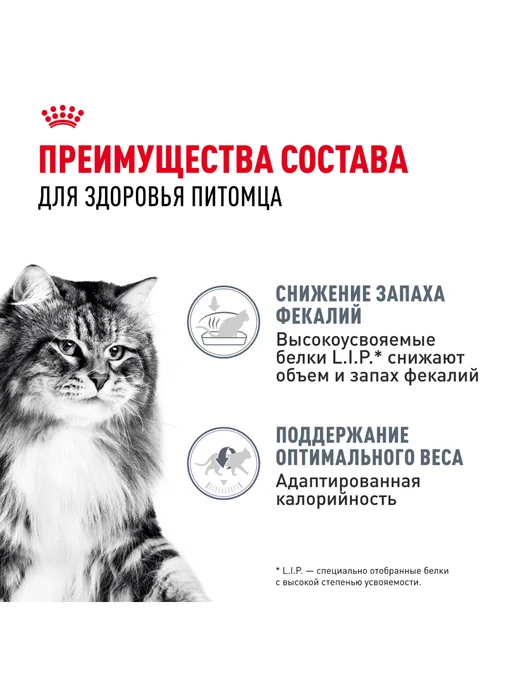 Royal canin Влажный корм Digestive Care для кошек и котов 85 г. х 28 шт, 85 г, 56 шт, фото 3