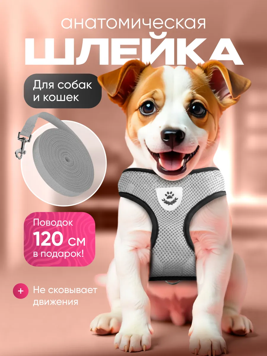 Шлейка для собак и кошек