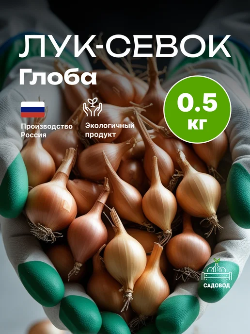 Лук севок Глоба 0,5 кг на посадку осенью, 500 г