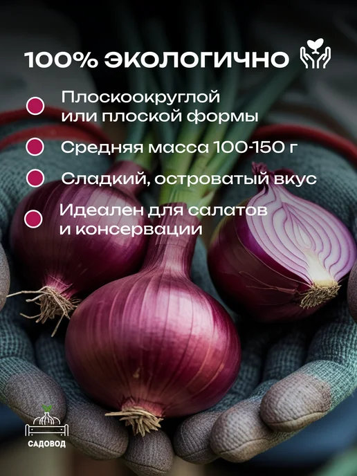 Лук севок красный Ялтинский 0,5 кг на посадку осенью, 500 г, фото 2