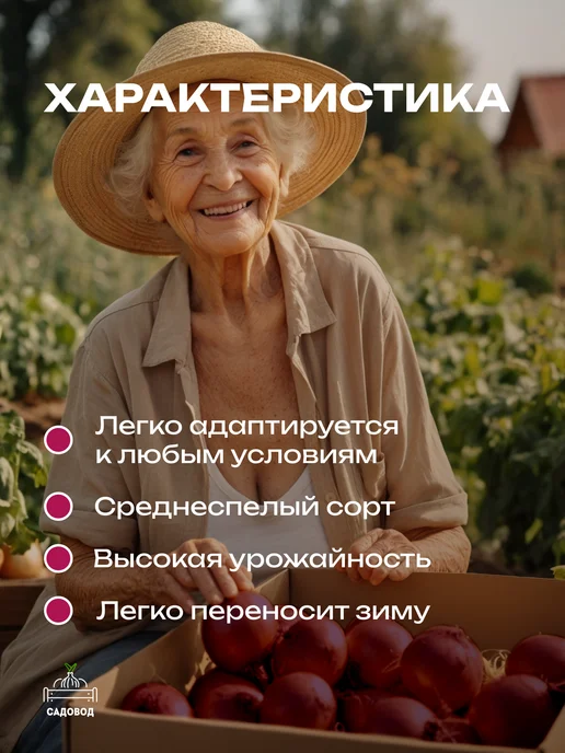 Лук севок красный Ялтинский 0,5 кг на посадку осенью, 500 г, фото 3