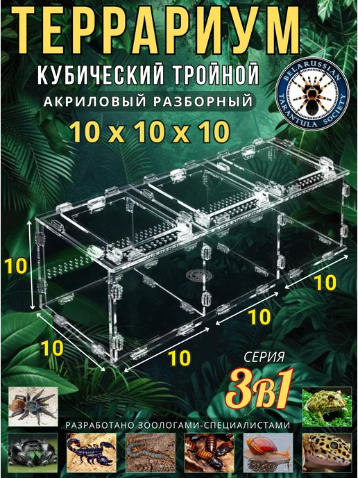 BTS_BY Террариум 3в1 кубический 10х10х10*3, 10x10x3
