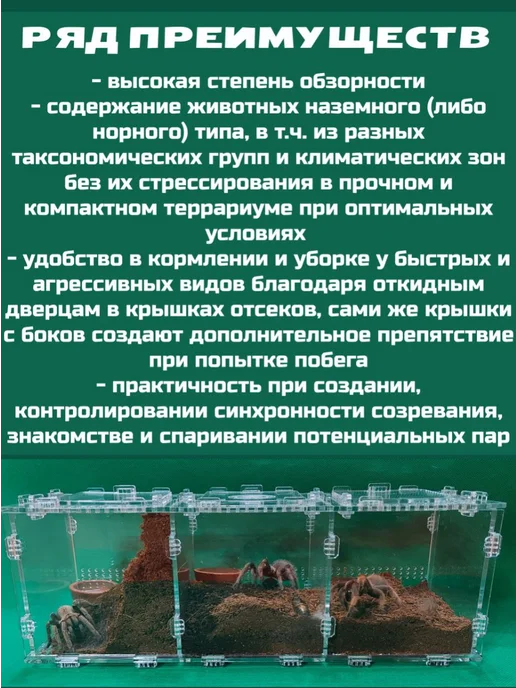BTS_BY Террариум 3в1 кубический 10х10х10*3, 10x10x3, фото 3