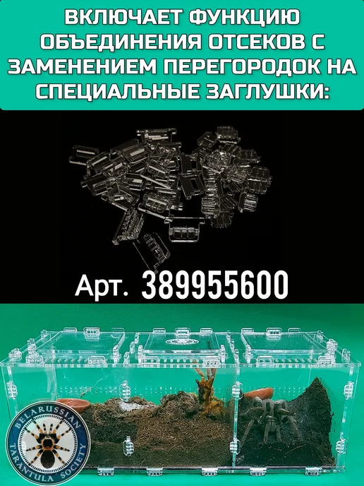 BTS_BY Террариум 3в1 кубический 10х10х10*3, 10x10x3, фото 4