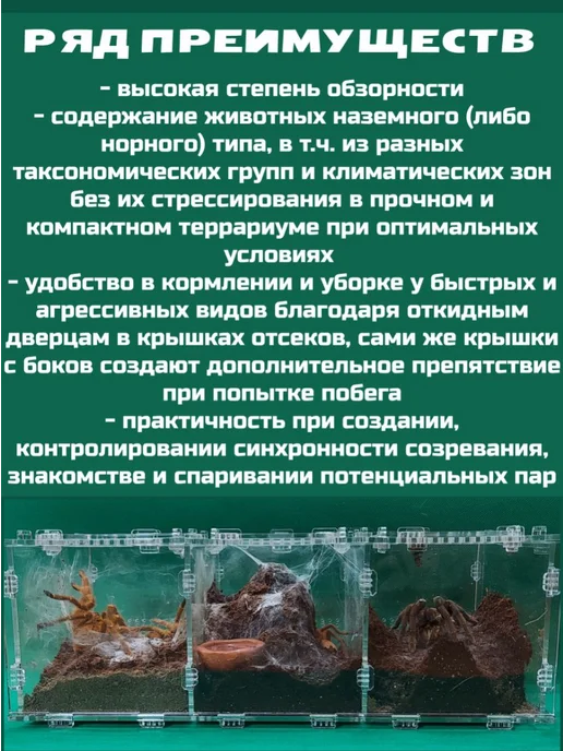 BTS_BY Террариум 3в1 горизонтальный 15х10х10*3, 10x10x3, фото 3
