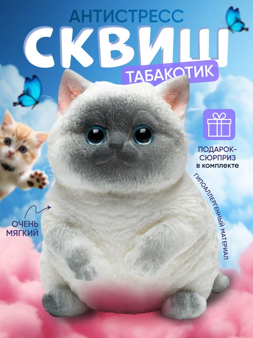 Шариядағы жезөкшелер